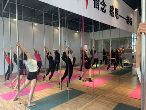 勁爆好消息！胡楊舞蹈周年特惠，僅198元體驗舞蹈魅力！