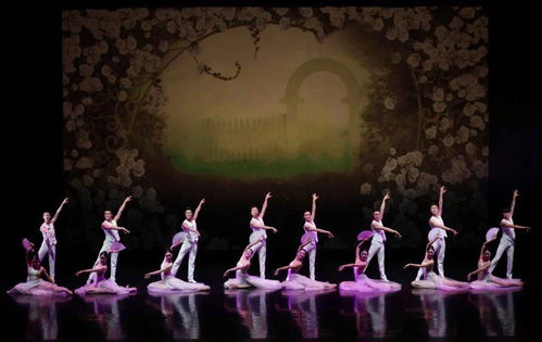 舞動經(jīng)典 以舞今信息為媒，重賞歌劇名篇新境